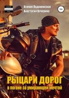 Рыцари дорог: в погоне за умирающей мечтой - Вечерина Анастасия